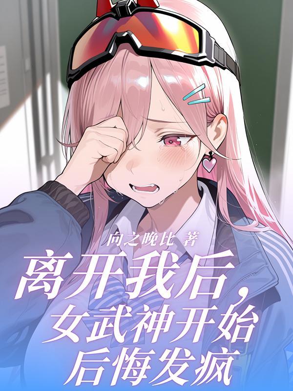 大明星系统