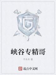 刺客语录